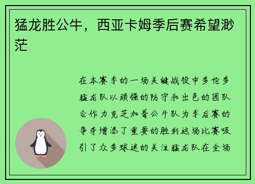 猛龙胜公牛，西亚卡姆季后赛希望渺茫