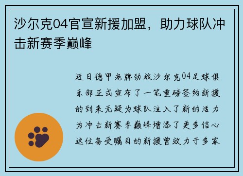 沙尔克04官宣新援加盟，助力球队冲击新赛季巅峰